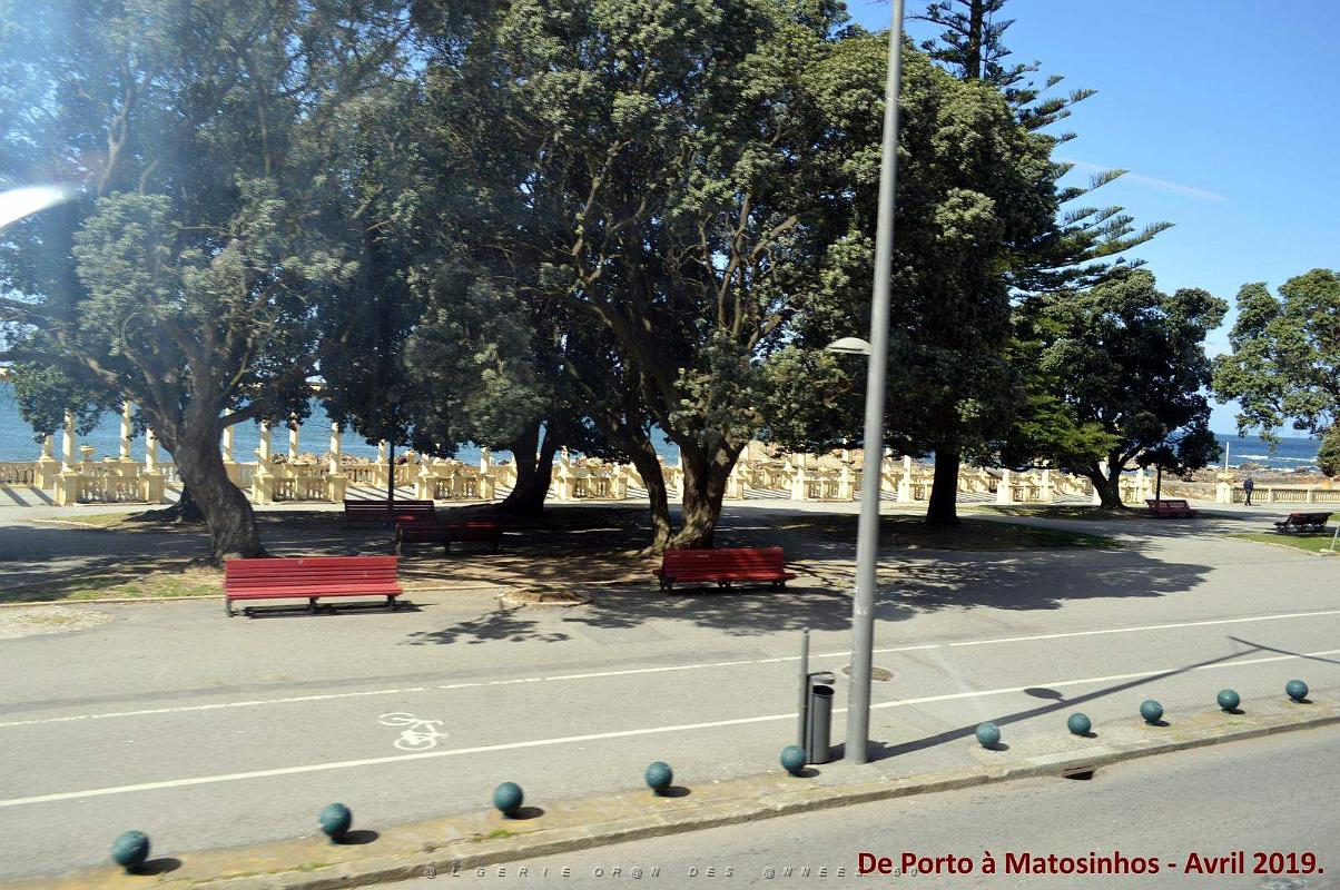 0876 - De Porto a Matosinhos.jpg